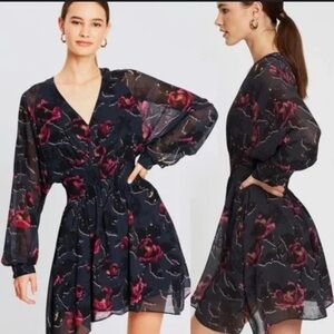 NWOT ALLSAINTS Nichola Rosalyn Floral V Neck Long Sleeve Dress Size S